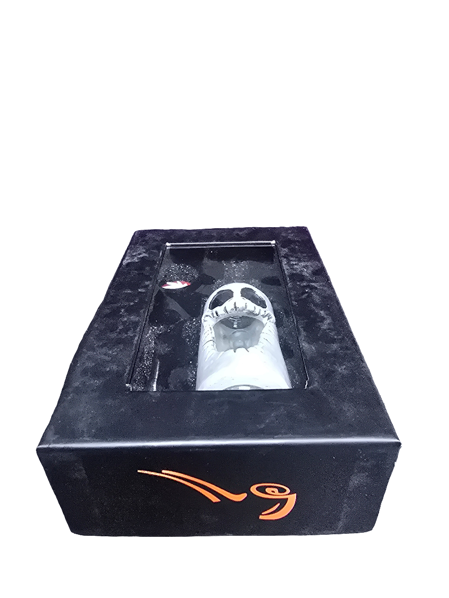 Gunter smoking smiling skeleton Nectar collector kit