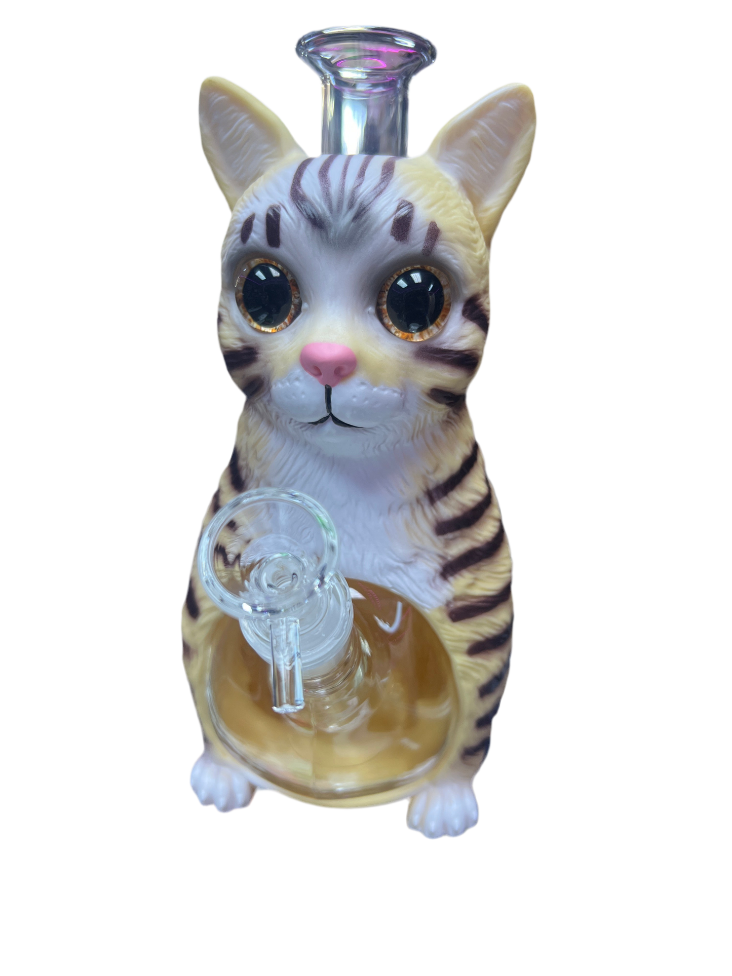 Tabby Cat water pipe