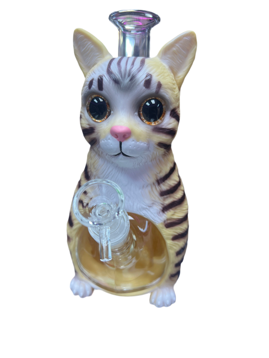 Tabby Cat water pipe