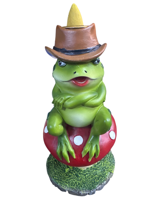 Frog Incense Holder
