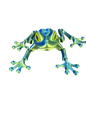 3D Printed Frog