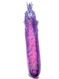 Pink/Purple Dragon Incense Holder