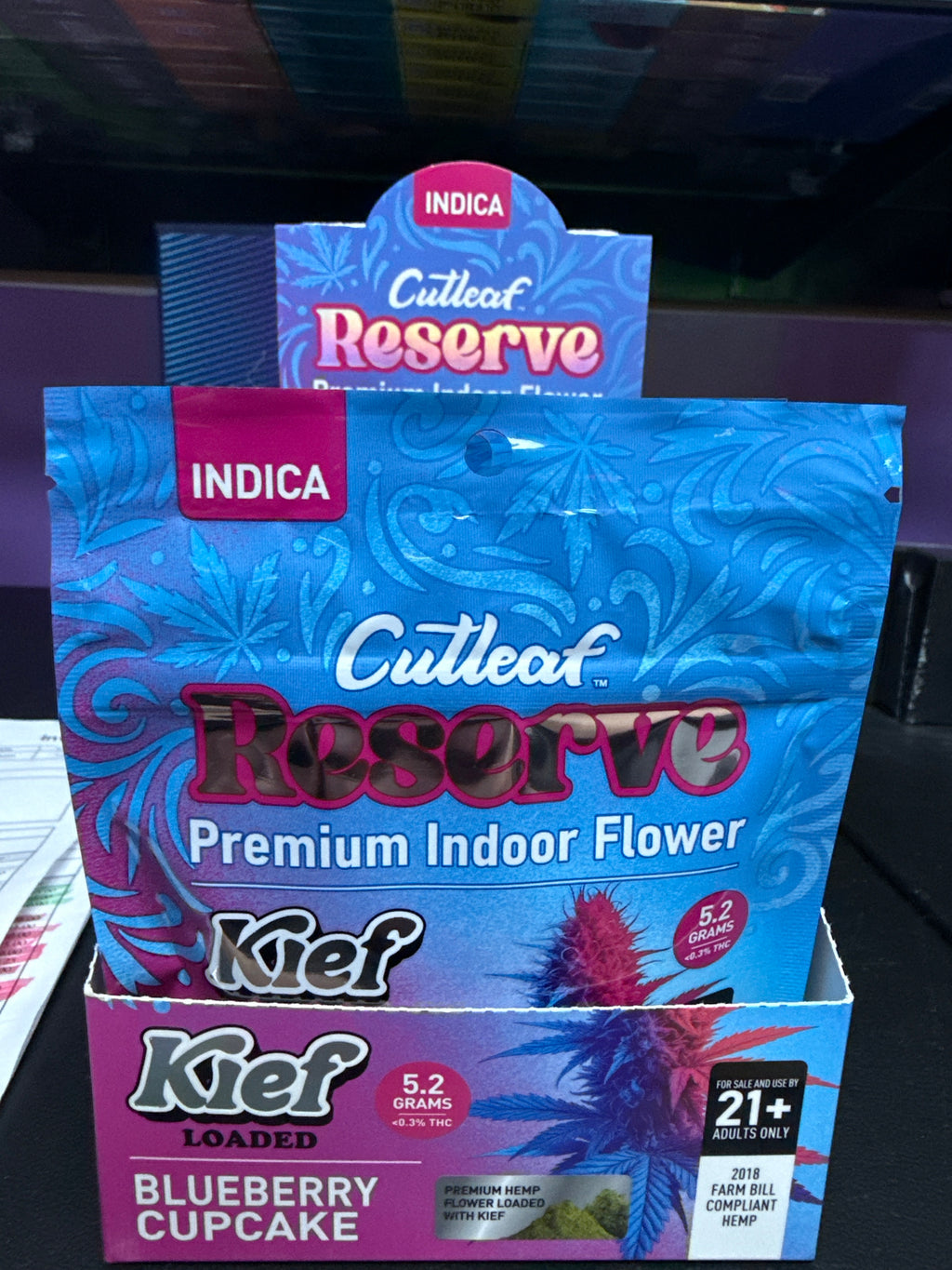 Cutleaf Indoor flower indica blueberry cupcake