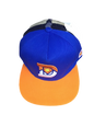 Assorted Snapback Caps