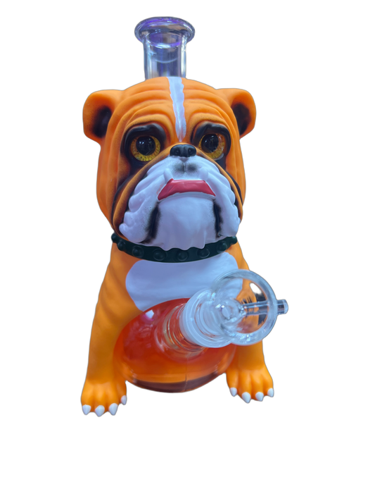 Orange bulldog water pipe