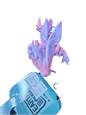 Earth Surf - Fairy Dragon