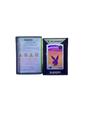 Limited Time Playboy Zippo