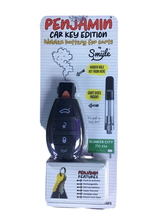 Penjamin Car Key Battery