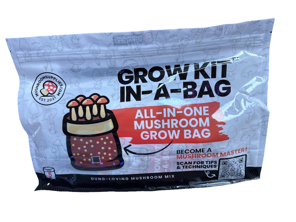 Grow Kit In-A-Bag - Mushroom Grow Bag