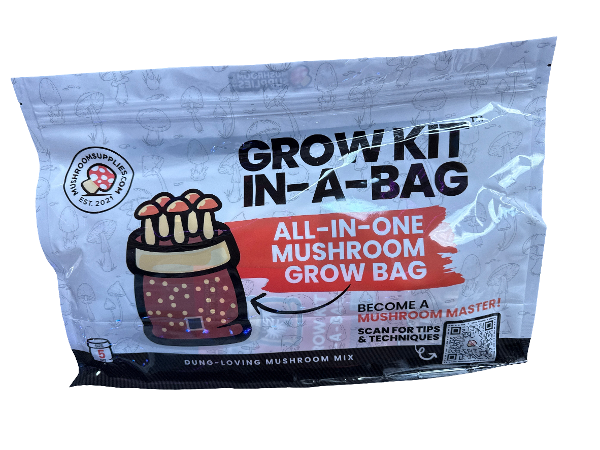 Grow Kit In-A-Bag - Mushroom Grow Bag