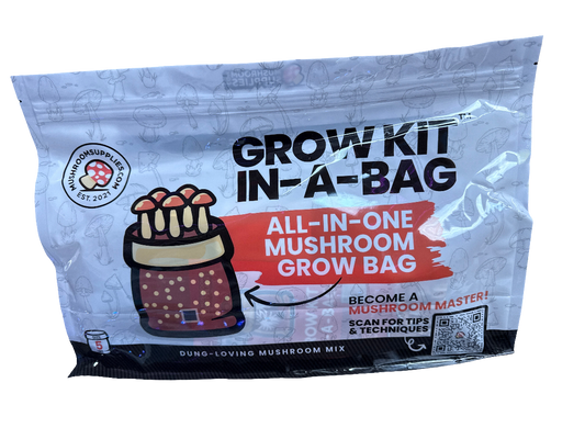 Grow Kit In-A-Bag - Mushroom Grow Bag