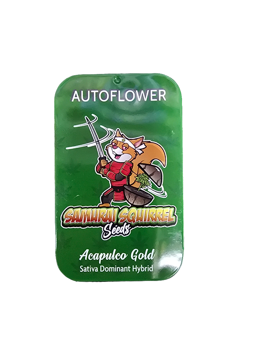 Samurai squirrel seeds - hemp seeds 5ct - Acapulco gold - sativa dominant hybrid (autoflower)